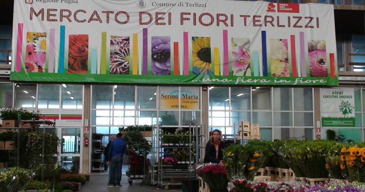 Ore 5.30 di mattina, suona la sirena: c'� il mercato dei fiori di Terlizzi